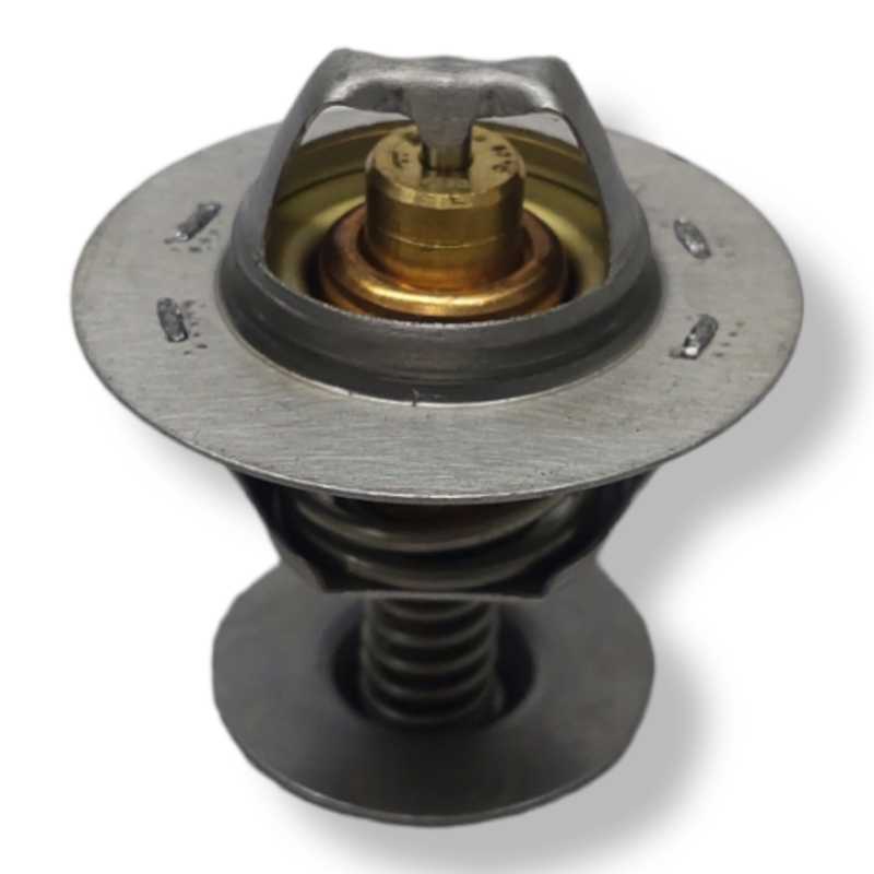 Termostat 88 Cc Şapkali Büyük Kafa  