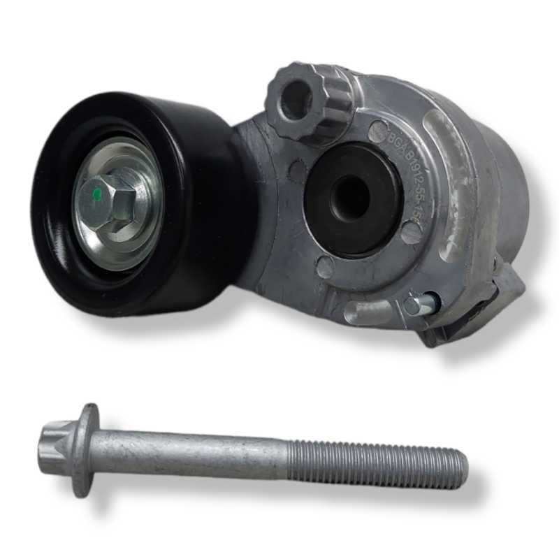 Gergi̇ Bi̇lyasi + Kütüğü